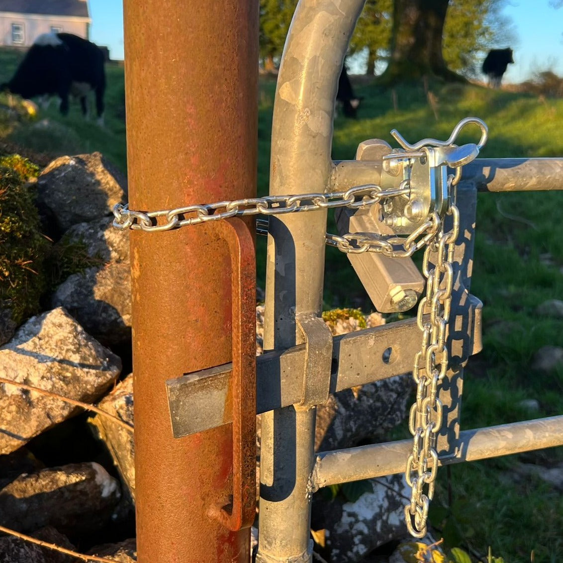 The Livestock Lock Clamp On I Do Agri